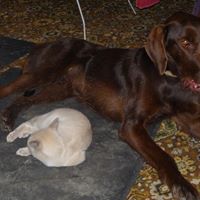 Michael Withers Photo 20