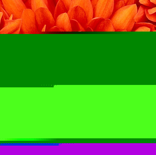 Brenda Gamble Photo 36