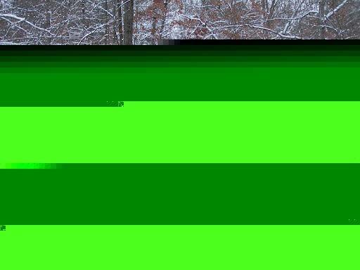 Susan Schlosstein Photo 6