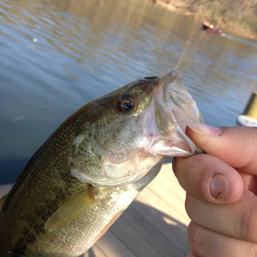 Jeff Schmitz Photo 18