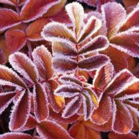 Martina Allen Photo 20