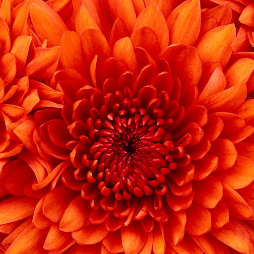 Miranda Rice Photo 12