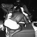 Ken Gilbert Photo 8