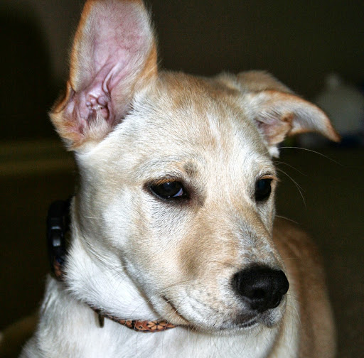 Steve Craig Photo 37