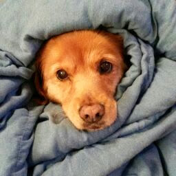 Michelle Parrish Photo 25