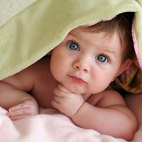 Surinder Saini Photo 21