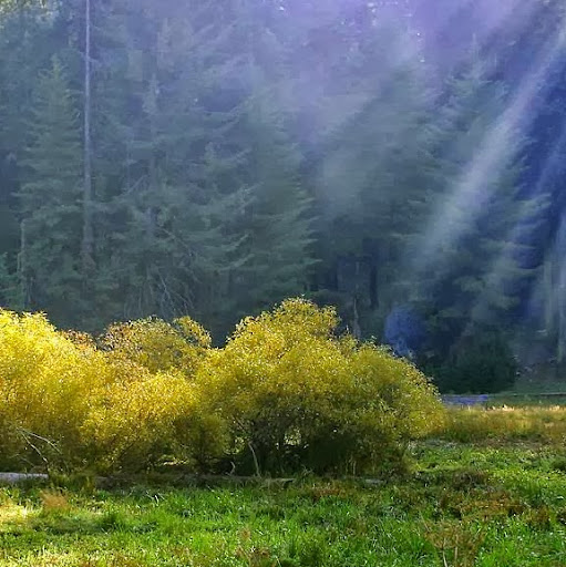 Nancy Pritchard Photo 17