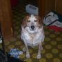 Dianne Rowe Photo 23