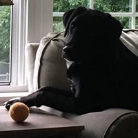 Debra Barton Photo 5