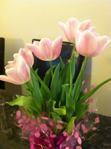 Elizabeth Keener Photo 10