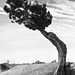 Joshua Masters Photo 40