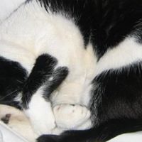 Richard Mathieson Photo 7