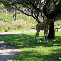 Stephanie Fry Photo 13