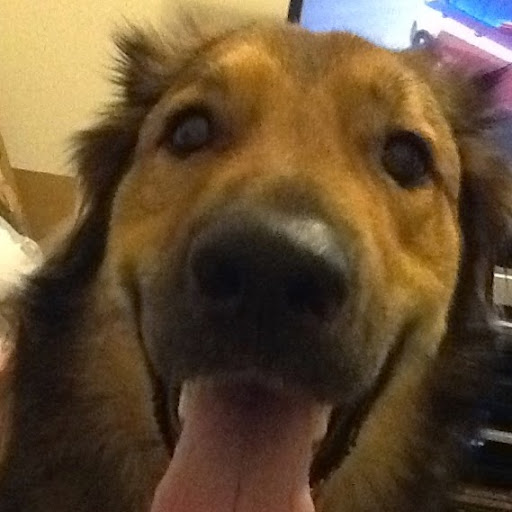 Michelle Whelan Photo 28