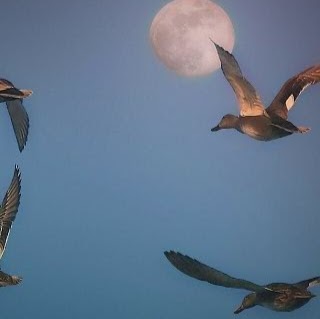 Eric Painter Photo 29