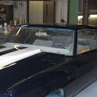 Suzanne Fuller Photo 22