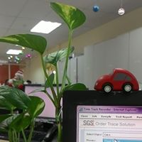 Nga Bui Photo 9