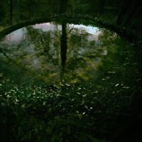 Julie Pruitt Photo 21