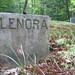 Lenora Green Photo 13