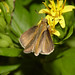 Julia Skipper Photo 17