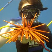 John Lyman Photo 31 John Lyman Photo 31