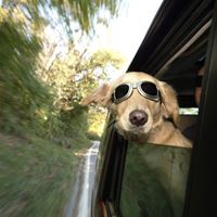 Ralph Werner Photo 8