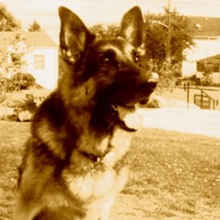 Bridget Hall Photo 44