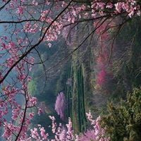 Annie Gordon Photo 30