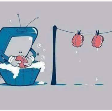 Fred Richard Photo 23