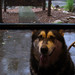 Rodney Rains Photo 19