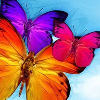 Johanna Ellis Photo 7