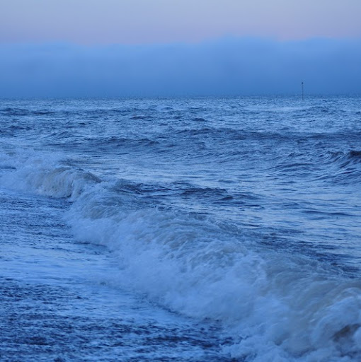 Gail Tucker Photo 17