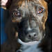 Christine Corrado Photo 28