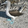 Mark Murdock Photo 27