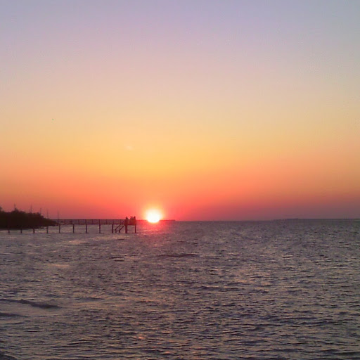 Sandra Benton Photo 14