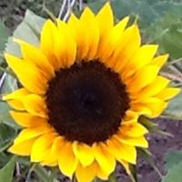 Kimberly Maynard Photo 31