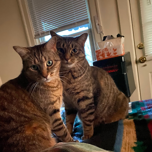 Steven Osborne Photo 34