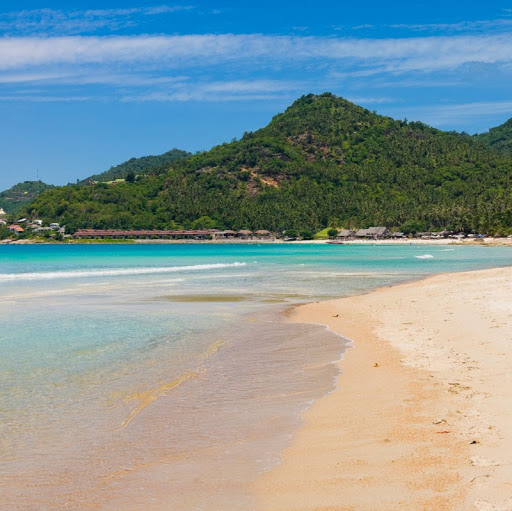 Jodi Alexander Photo 5