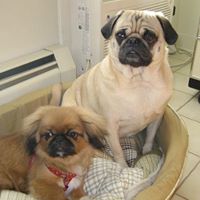 Arthur Sears Photo 7