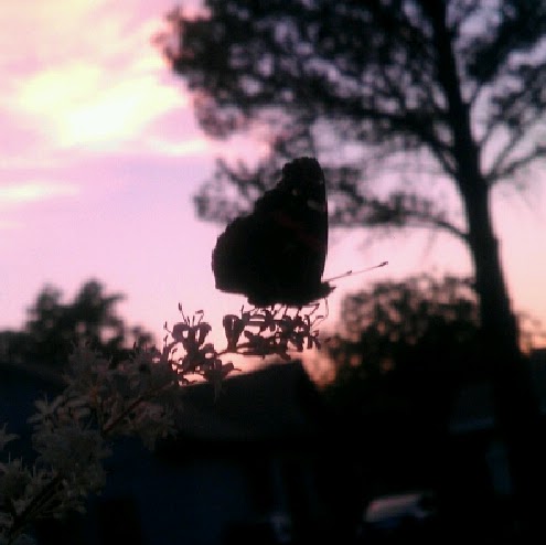 Laura Keith Photo 25