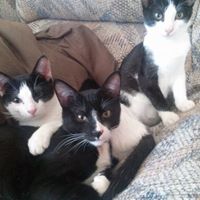 Christine Hoppe Photo 14