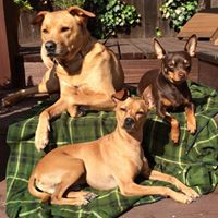 George Hurtado Photo 33