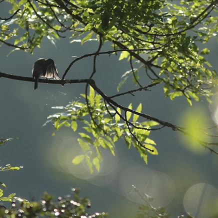 Christine Boyer Photo 11