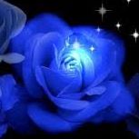 April Chappell Photo 7