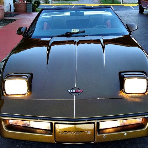 Steve Naylor Photo 35