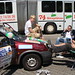 Cindy Tobin Photo 11