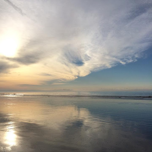 Lisa Farris Photo 13