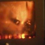 Michael Hund Photo 12