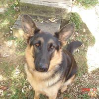 Deborah Suttles Photo 5