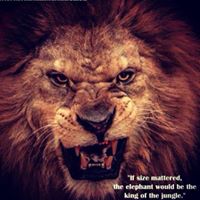 Frank Curtis Photo 25